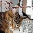 � �ͨ� ������������