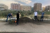 31 ���� �� ��������� ����� ��������� �������� ��������� �� ���������� ������ ���������!