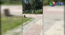 ������������ � ����������������� ����������� ���������