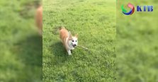 ������� ������ �������, ������ �� ����� �������