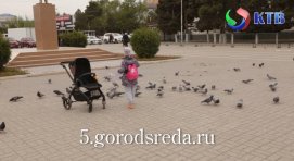 ���������� ����������� ������- ����������� �� ��������������� ������ ���. ��� ����� ��������� � 26 ������ �� 30 ��� �� �������� ��������� 5.gorodsreda.ru ��������������� � �������� ���������