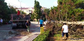 � ��������� ������������ ���������� ����� � ������ ��������