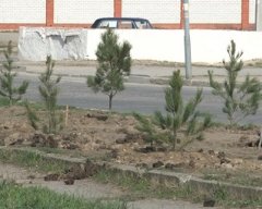 � ������������ ������ ������� ���� ���������������� ������������ ������������ ����� ������.
