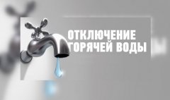 �������� �����������: ���������� ������� ���� ����� � ���������