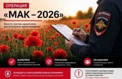 � ���� ������ �� �. ���������, ������� ������ ���� ���������������� ����������-���������������� �������� � ���-2026�.